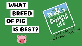 7 Highly Profitable Pig Breeds for Farmers [upl. by Lertram]