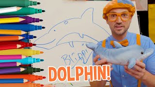 How To Draw A Dolphin  NEW  Draw with Blippi  Arts and Crafts For Toddlers [upl. by Cathi730]