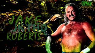 Jake The Snake Roberts 1st WWF Theme Arena Effects [upl. by Itnaihc53]