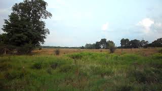 Pere Marquette 1225 Howell Melon fest 2018 Scenic Feild [upl. by Pomona720]