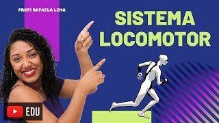 Sistema Locomotor esqueleto e músculos [upl. by Sherurd]