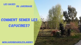 Comment semer les capucines   Monjadindansleslandes [upl. by Kirby]