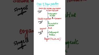 How Methanogens Produce MethaneSteps of Biogas production biogas biologyshort shorts [upl. by Anerehs]