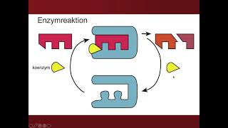 Kemi 2  Biokemi Proteiner och enzymer [upl. by Inasah]