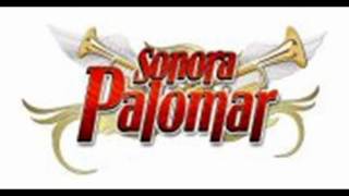 Sonora Palomar Mix Dj Snoow Sabor Cumbianchero Mix [upl. by Allx258]