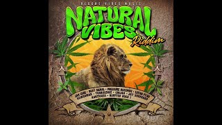 Natural Vibes Riddim Mix 2024 Pressure Busspipe Lutan Fyah Ginjah Turbulence x Drop Di Riddim [upl. by Hennebery]