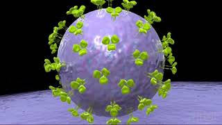 HIV Protease Inhibitors [upl. by Jaworski]