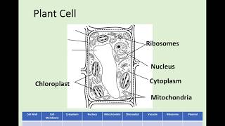 N5 Biology  11 Cell Structure [upl. by Collete]