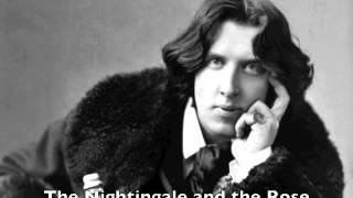 The Nightingale and the Rose audiobook Oscar Wilde [upl. by Dedra]