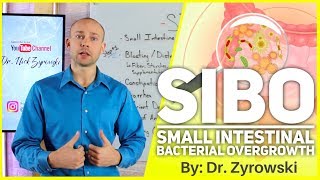 Small Intestine Bacterial Overgrowth  How To Reverse SIBO [upl. by Papp]