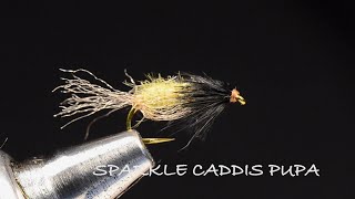 Sparkle Caddis Pupa By Charlie Craven [upl. by Sile]