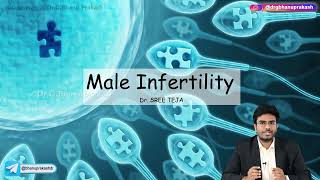 Male Infertility  Obstetrics and Gynaecology Lecture [upl. by Morra]