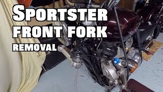 sportster front fork removal [upl. by Wilone]