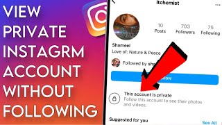 How To View Private Instagram Account Without Following  AndroidiOS [upl. by Trainor546]