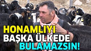 Honamlı Keçisini Başka Ülkede Bulamazsın  quotTEKE ETİ GİBİ ET YOKquot [upl. by Vada]