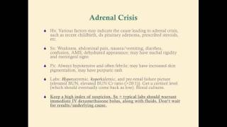 Acute Adrenal Insufficiency  CRASH Medical Review Series [upl. by Kornher]