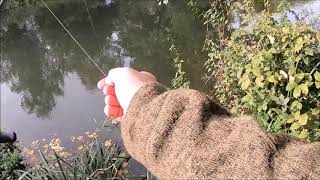 A session on the River Bure Coltishall [upl. by Lehcim]