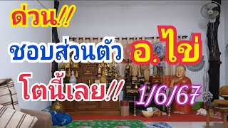 ด่วน ชอบส่วนตัว อไข่ โตนี้เลย 1 มิย67 [upl. by Nica]