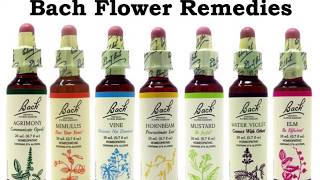 How to Take Your Bach Flower Remedies [upl. by Zak]