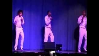 Timeless Promo Showcase ConventryWillenhall 2013 [upl. by Ainola503]