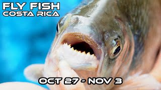 Costa Rica Hosted Trip Tarpon and Machaca October 27  November 3 [upl. by Kezer]