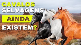 Cavalos selvagens ainda existem [upl. by Masson]