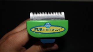 FURminator Dog Short Hair Deshedding Tool Review Small [upl. by Ayalat]