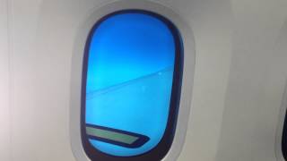 Boeing 787 Dreamliner Window Dimming [upl. by Hofmann583]