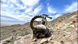 Huge IBEX Hunting Mongolia  ALTAI Ibex hunting [upl. by Eckardt]