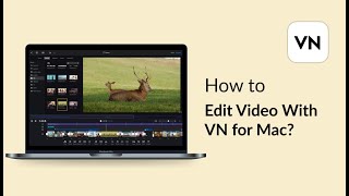 04 How to Edit Video With VN for Mac｜VN for Mac [upl. by Tasha233]