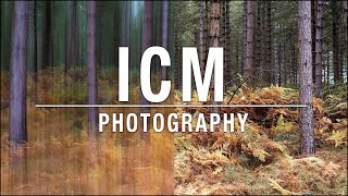 ICM Photography Tutorial – Intentional Camera Movement [upl. by Gusba]