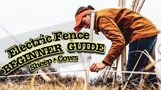 HOW TO INSTALL ELECTRIC FENCE FOR SHEEP AND COWS [upl. by Dambro]