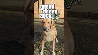 La réaction de la police dans GTA5 avec un chien 🐕‍🦺 gaming gta [upl. by Marigolde583]