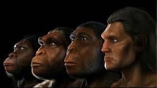 Evolution Of Man Documentary Channel  The Minds Big Bang HUMAN EVOLUTION [upl. by Sax]