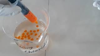 Sodium Alginate Beads by Gelation Method Surawase Sir LNJDP COP Manur [upl. by Friedly68]