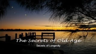 Starry Starry Night Vincent Secrets of Old Age [upl. by Shandie]