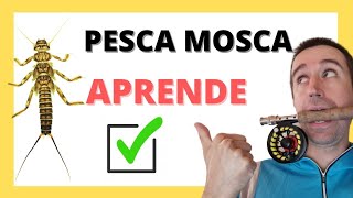 CÓMO PESCAR con MOSCA ✅ Para Principiantes ✅【 Todo lo básico 】 [upl. by Panthia762]