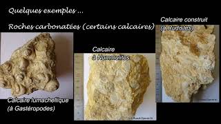 Les trois types de roches sédimentaires par Mme RuaultDjerrab [upl. by Devaney390]