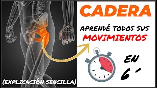 🥇 CADERA y sus MOVIMIENTOS ARTICULARES biomecánica anatomía  Articulacion Coxofemoral [upl. by Refanej]