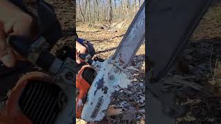 gas gas chainsaw noise chainsawman wood gas benzin gasolina tree chainsawmanedit speedup [upl. by Bena]