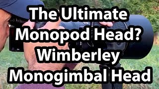 The Ultimate Monopod Head Wimberley Monogimbal Head Review [upl. by Far]