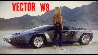 Vector W8 [upl. by Anas606]