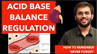 Acid Base Balance  Biochemistry  Renal Physiology [upl. by Heshum]