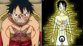 HOW DID MONKEY D LUFFY GET HIS SCARS [upl. by Nolita101]