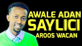 AWALE ADAN SAYLICI 2017 HD BEST SOMALI MUSIC [upl. by Eanrahs]