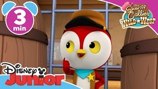 Sheriff Callie  Peck Gets Fooled  Disney Junior UK [upl. by Nawat]