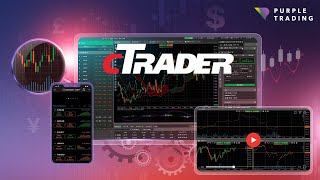 cTrader  Demo account [upl. by Lewap609]