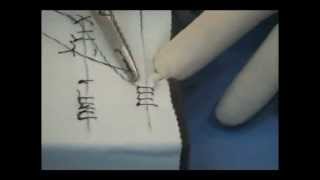 Suture Exercise [upl. by Aloke]