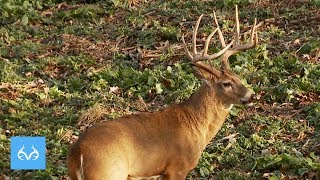 170quot Iowa Whitetail  Michael Waddell  Monster Bucks Monday [upl. by Figge]