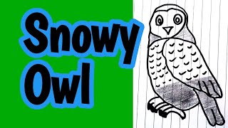 Owl DrawingEasy Owl drawingOwl drawing step by stepHow to Draw Owl [upl. by Senga867]